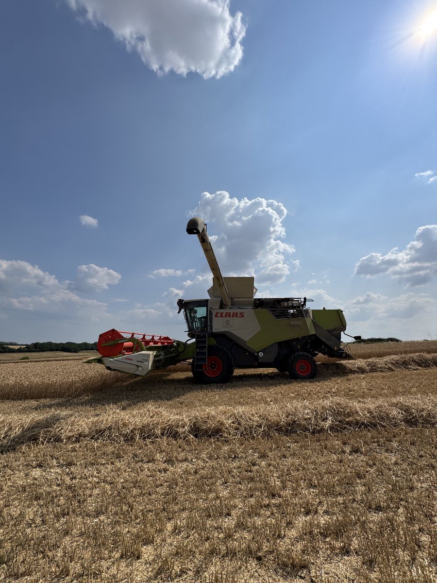 AlexLinno's tweet photo. Winter wheat finished Salisbury, Wiltshire 17th July. Crazy year #harvest26 #harvest2026 https://t.co/jOqTCzPZv9