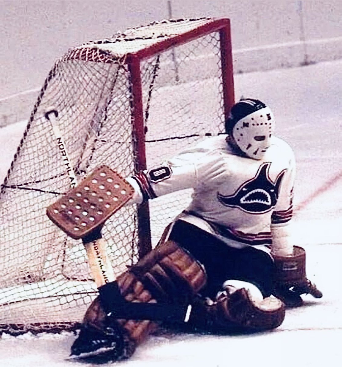 oldhockeycards's tweet photo. Save of the day.. https://t.co/iFAKik3t2l