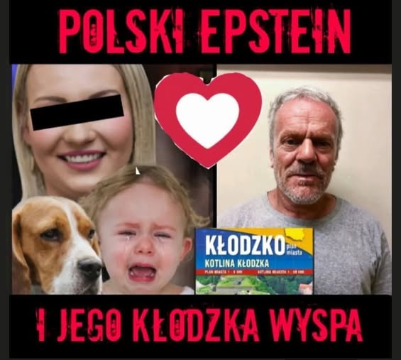 MatumUlti90164's tweet photo. @EwaZajaczkowska POKO muchy to kasta pijawek, bez honoru. Myślą, że mogą Polskę okradać bezkarnie https://t.co/sBsDL6Dt1X