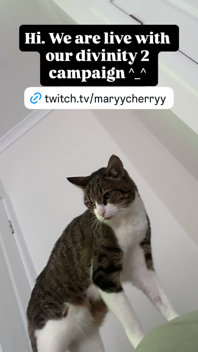 𝕞𝕒𝕣𝕪𝕔𝕙𝕖𝕣𝕣𝕪 (@maryycherryy) / Posts / X