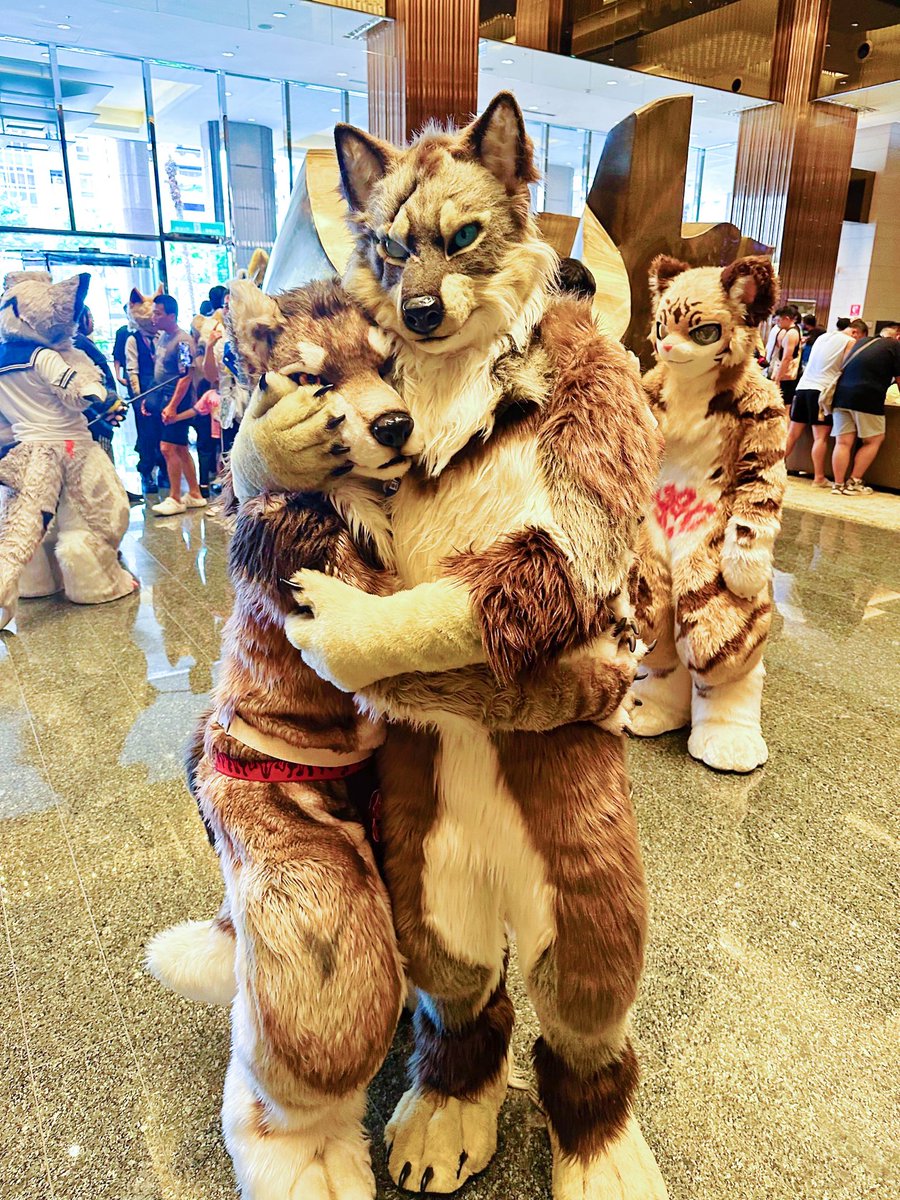Xander0415's tweet photo. 是灰(抱
@FrankFan0214
#FursuitFriday https://t.co/tNTzBQn27P