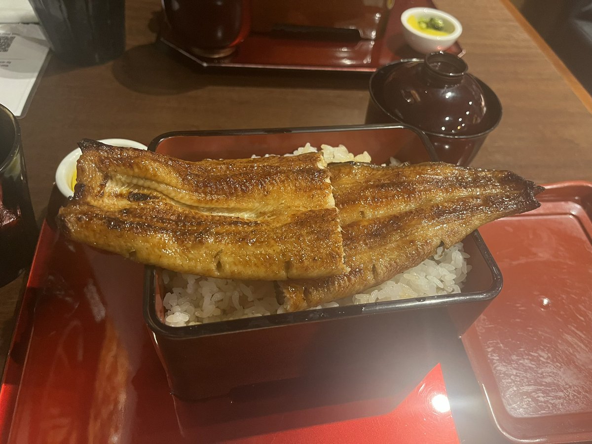 conch_ranco's tweet photo. バランスのいい機体　と　うーたん(うなぎ) https://t.co/I3JebFV1hO