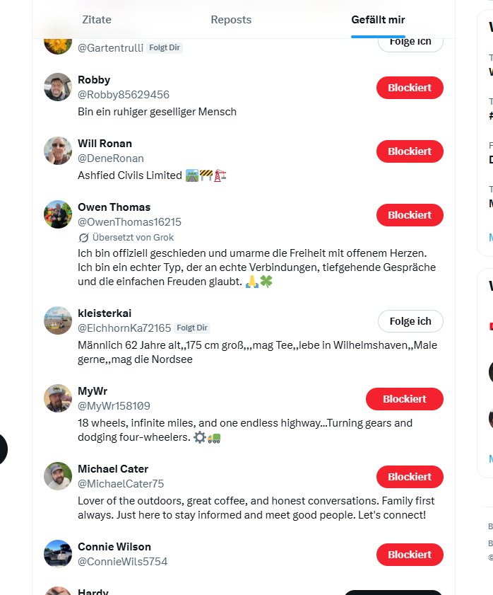 Die60erin_de tweet media