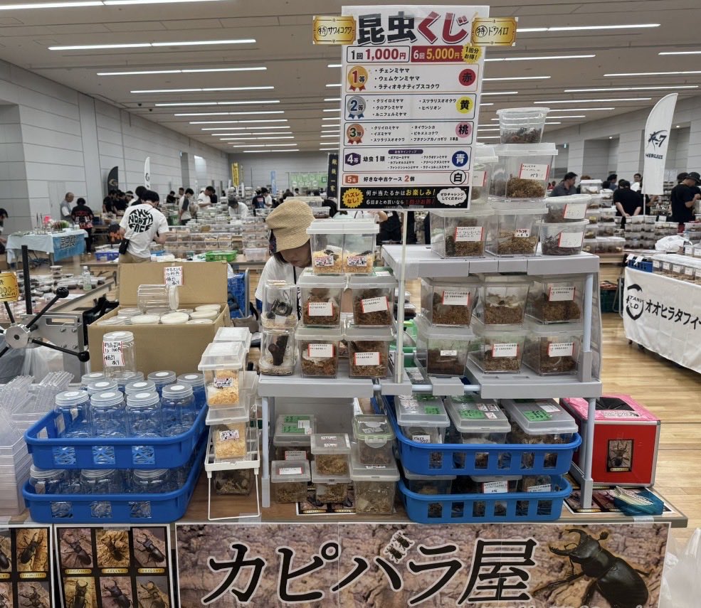 insect_motion's tweet photo. 報告が遅れましたが、

12日はSBにてカピバラさんの出展に協力して参加し、予想以上の沢山のご来場とご購入に感謝！

また運営サイドのランバージャック様にも感謝です。

良い機会にありがとう！

最後に一緒に出展した、Tさん、Mさん、Kさん、Gさん、
お疲れ様でした。
良い経験をありがとう https://t.co/JewiHFukQV