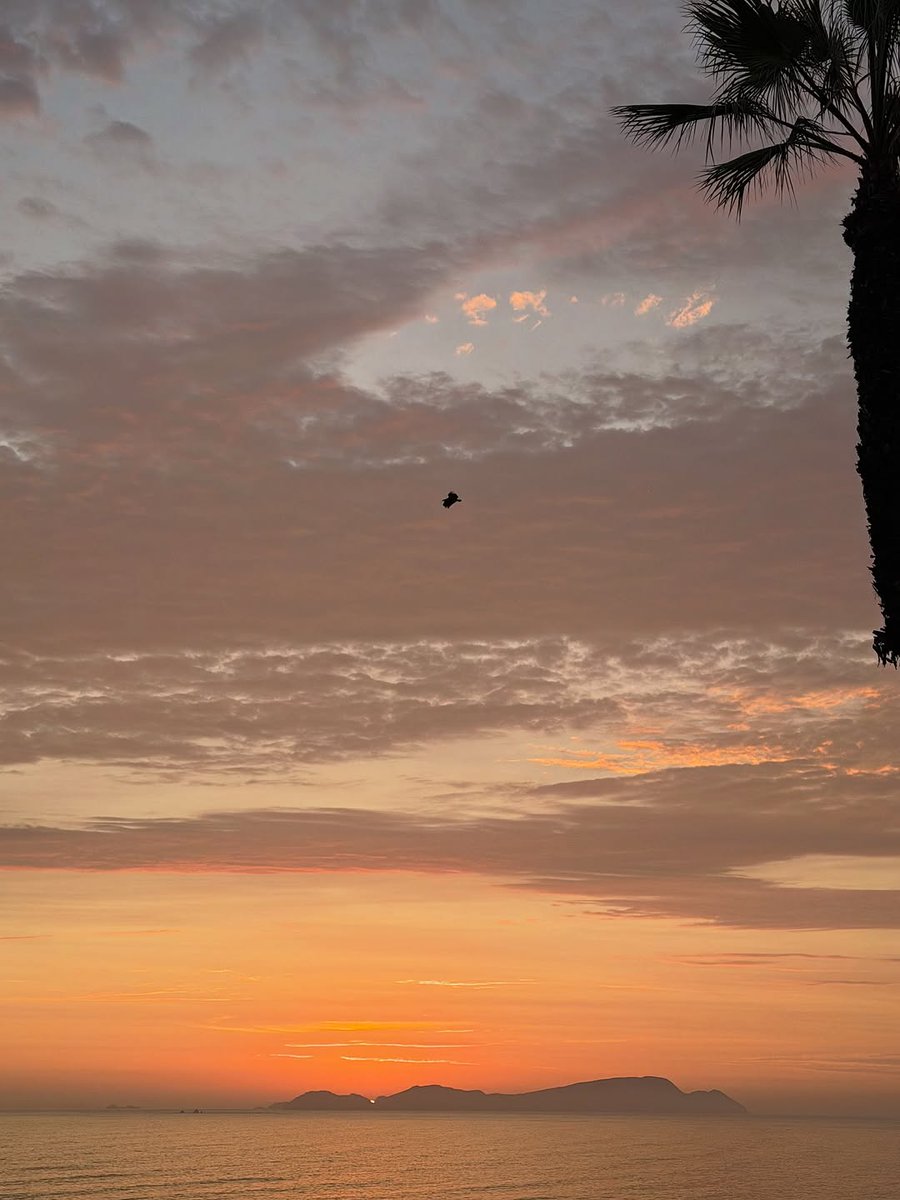 itsmuimuinnec's tweet photo. Ocaso 🌅 https://t.co/omxOAay5g6