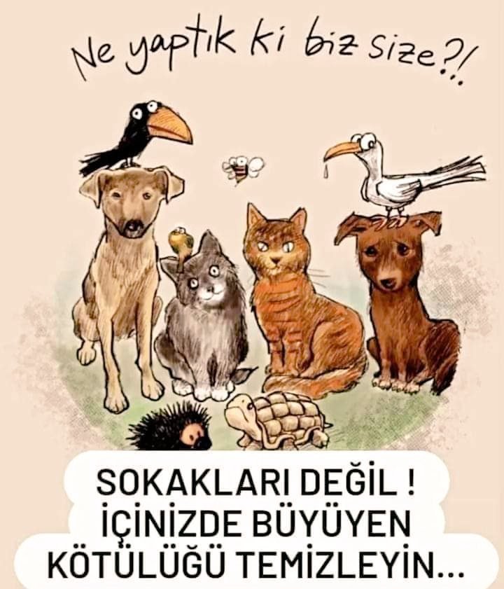 sadeceinsanol13's tweet photo. Sabahattin Ali'nin Dedigi Gibi;

"Herkese İçindeki İyilik Kadar

İyi Bir Hayat Dilerim..."

🍀Günaydın Yaşamak🍀

#HayvanlarYaşamakİstiyor
#HayvanlarİçinAdalet
#HayvanlarSokakSakinidir https://t.co/Z50SbL0wY8
