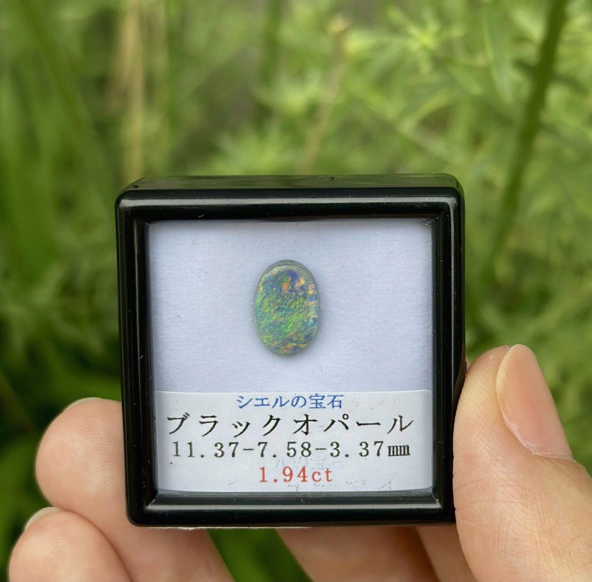 whitewolf1716's tweet photo. ブルプロしたい。ウルラウ郷帰りたい。 https://t.co/MfrdUGv53h