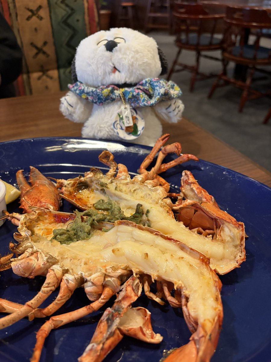 tanta1010's tweet photo. お墓参りの後、レッドロブスター🦞 https://t.co/7x19DWdQr1