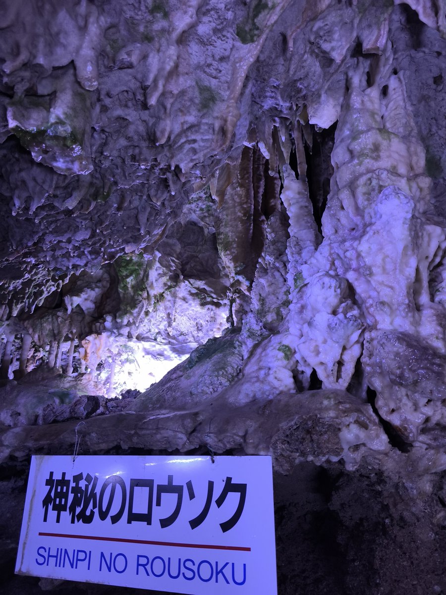 savanyann's tweet photo. めちゃ涼しかった https://t.co/Qk77HzUvBo
