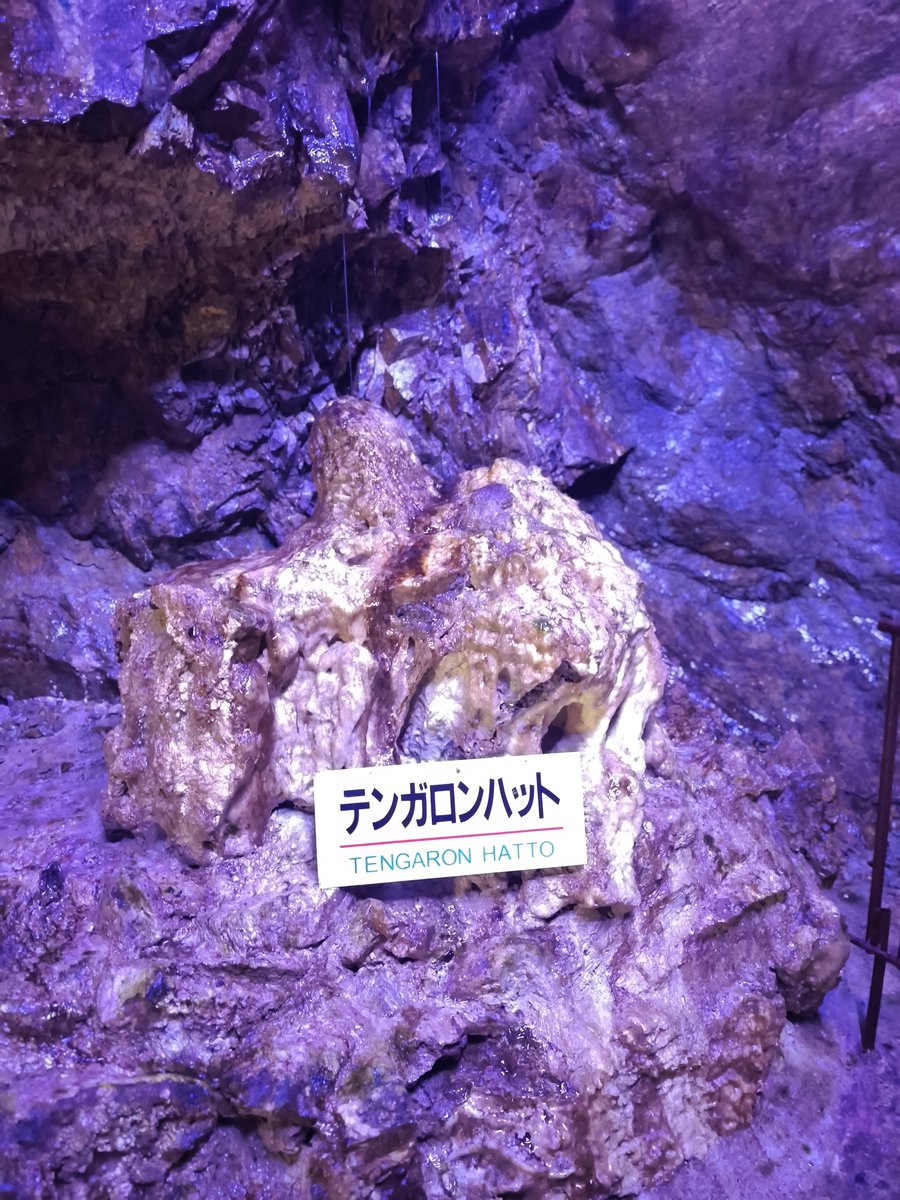 savanyann's tweet photo. めちゃ涼しかった https://t.co/Qk77HzUvBo