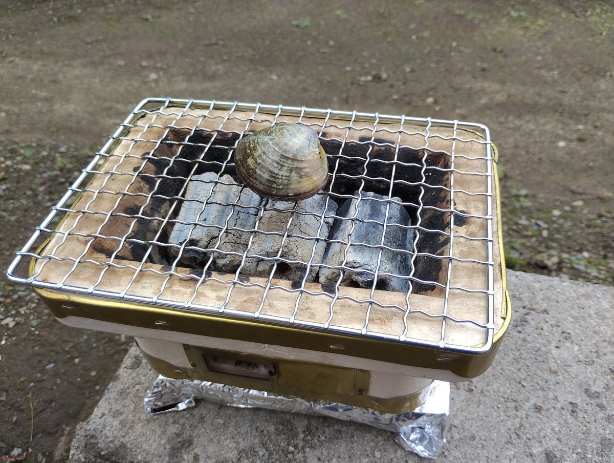sunaba_no0210's tweet photo. 曇天の空模様ですが炭火焼き鳥を強行します。 https://t.co/vaW5QRyEUP