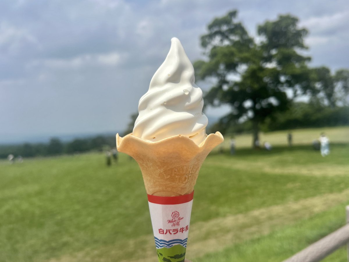 tomashibadaisen's tweet photo. 冗談抜きで、人生ではじめてソフトクリームと勝負したわん。
何の勝負かって？ 「溶けるのが先か、食べきるのが先か」。
鳥取・大山まきば みるくの里の特製ソフトクリーム、まじで溶けるのが早すぎる。正直、のんびり味わっている暇はないわん。笑
でも、ひと口食べれば人気の理由がわかる。 白バラ牛乳を使用した、ミルクの風味たっぷりの味わい。濃厚なコクがありながら、後味はすっきりしているんだわん。
溶けるのが先か、食べきるのが先か。 ぜひ挑戦してほしいわん。