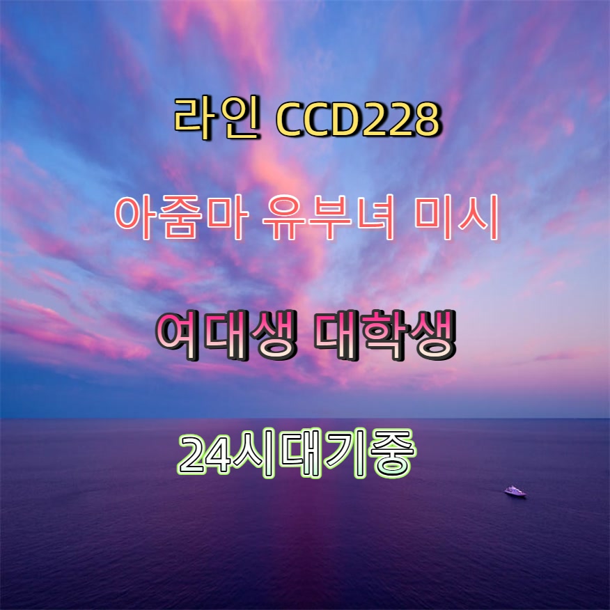 KdBFromCity's tweet photo. #광주 #조건 #광주맘눌뎀 #ㄱㄷ #광주ㅈㄱ 🐇 https://t.co/2RXhOsgxDM