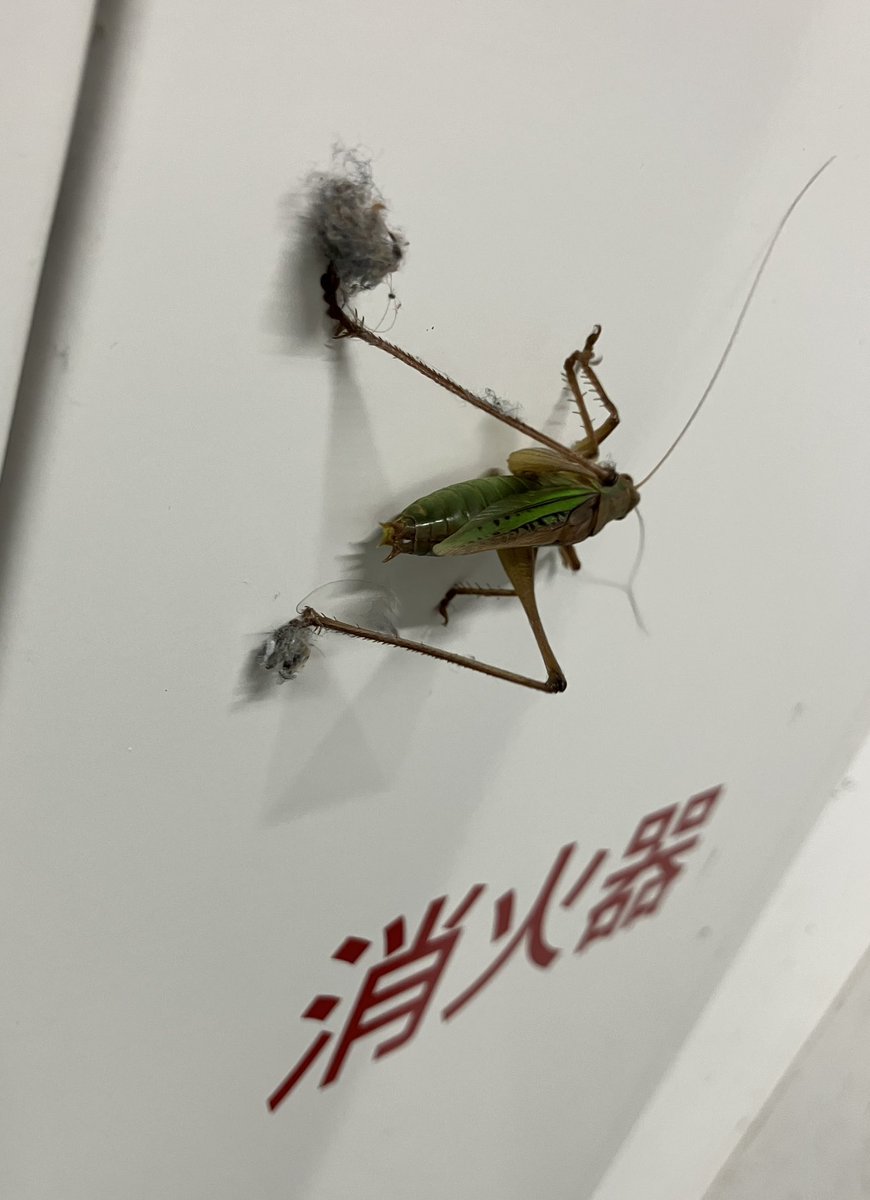 小林朋道 tweet media