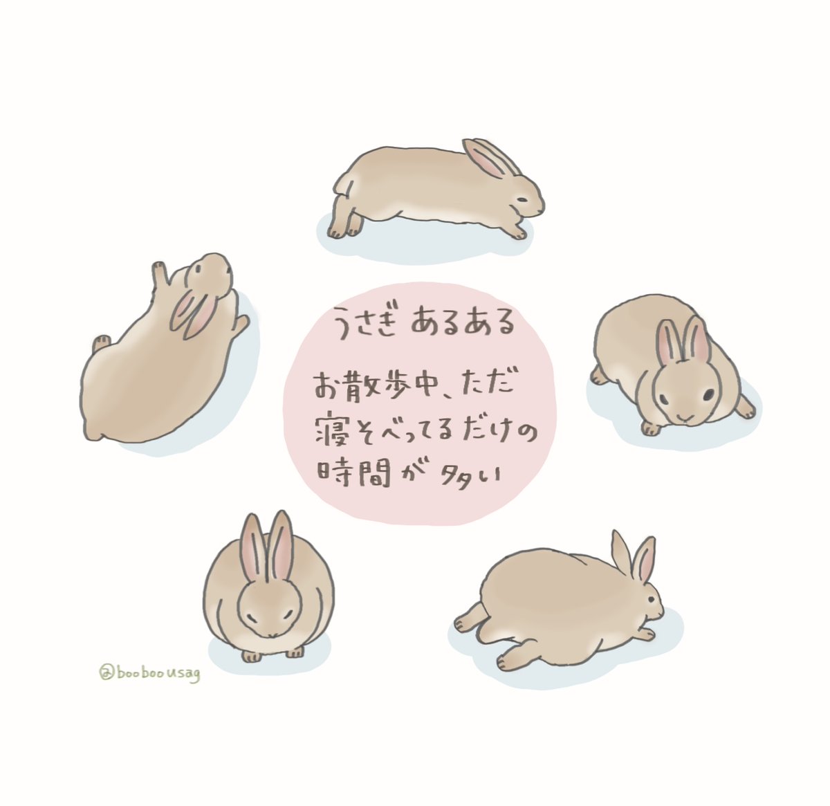 booboousag's tweet photo. お散歩の時間にわりとじっとしてる事が多い

うさぎあるある…だと思う🐇 https://t.co/vm0Tu0sDlr