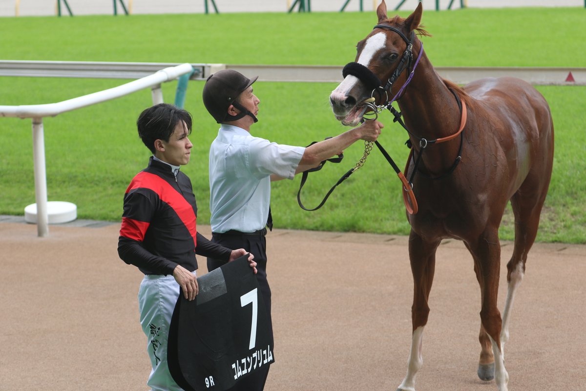 shiro216's tweet photo. 2026.6.14 TOKYO RACE COURSEにて♪

9R 芦ノ湖特別(3歳以上2勝クラス 芝1600m)を勝利した、コムユンプリュム
(牝4 父ブリックスアンドモルタル 鹿戸雄一きゅう舎)(石川裕)
勝ちタイム 1:33.4
天候:曇 芝:良
(7番人気/11頭立て) https://t.co/tFGAi61PYq