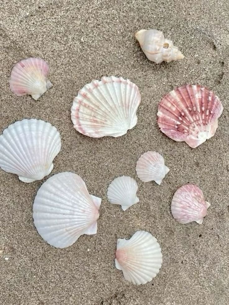 wwwdotello's tweet photo. Summer beachtime! 🏖

an #interactive thread! https://t.co/qD4UsvsGGF