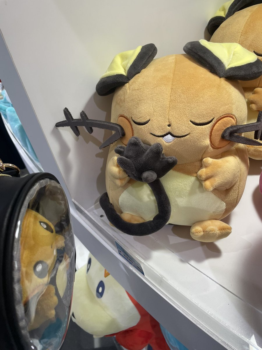 nebosukesleep's tweet photo. #ポケスリ3周年をみんなで 
オネンネ>o˘ω˘o< https://t.co/E1ClbPP4Ps