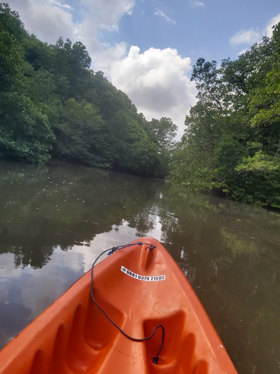monavidiaa's tweet photo. back to nature 🍃 enak banget ternyata nongkrong (plus baca) di mangrove (aslinya sambil nungguin bapak-anak kelar canoeing) https://t.co/1fUhIj7tu0