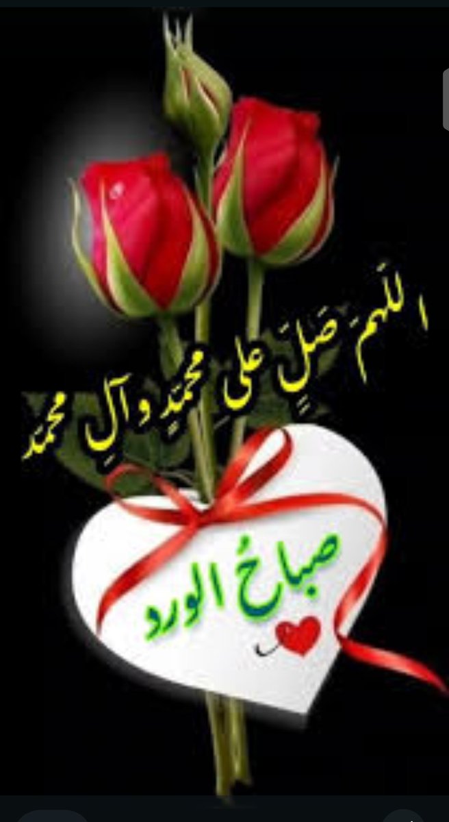 abordeo1's tweet photo. @shosho777ss_ https://t.co/W4lFE01ifL