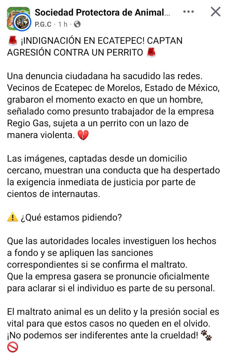 LicAnimalista's tweet photo. Atención @FiscaliaEdomex  #NoticiaCriminal exigimos investigar a la empresa Regio Gas en el municipio de Ecatepec https://t.co/VAdNelrW3O