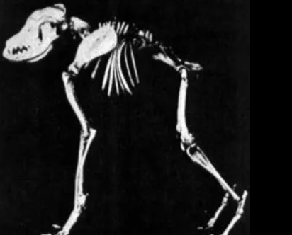 Short Spine Syndrome tweet media