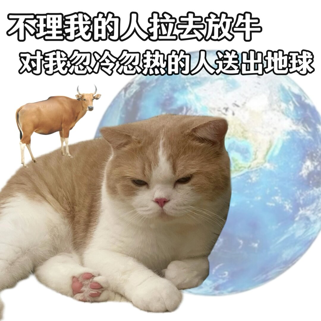 Jean Depee tweet media