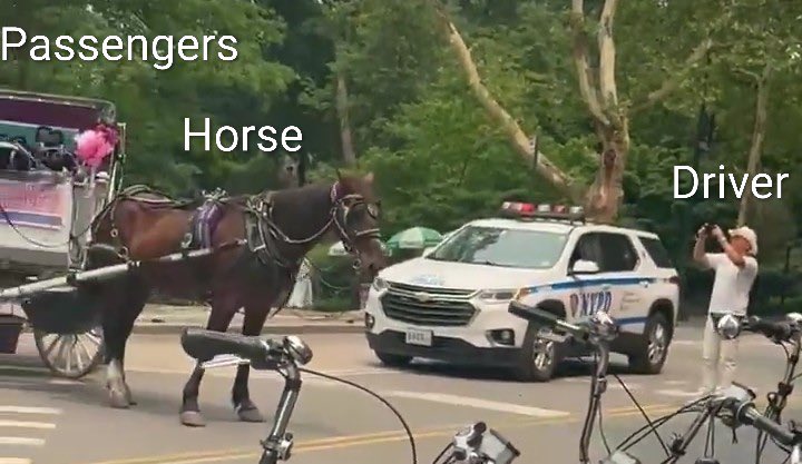 nyclass's tweet photo. @ChristieSmythe @timdonnelly Every time they opened their mouths they made our case. There is a real urgency to enact Romanch’s Law.  Carriage drivers continue to display the same negligent disregard for life that led to Romanch’s death. The attached video waa taken Tuesday. A toddler was in the carriage. https://t.co/noYqtPsVZ4