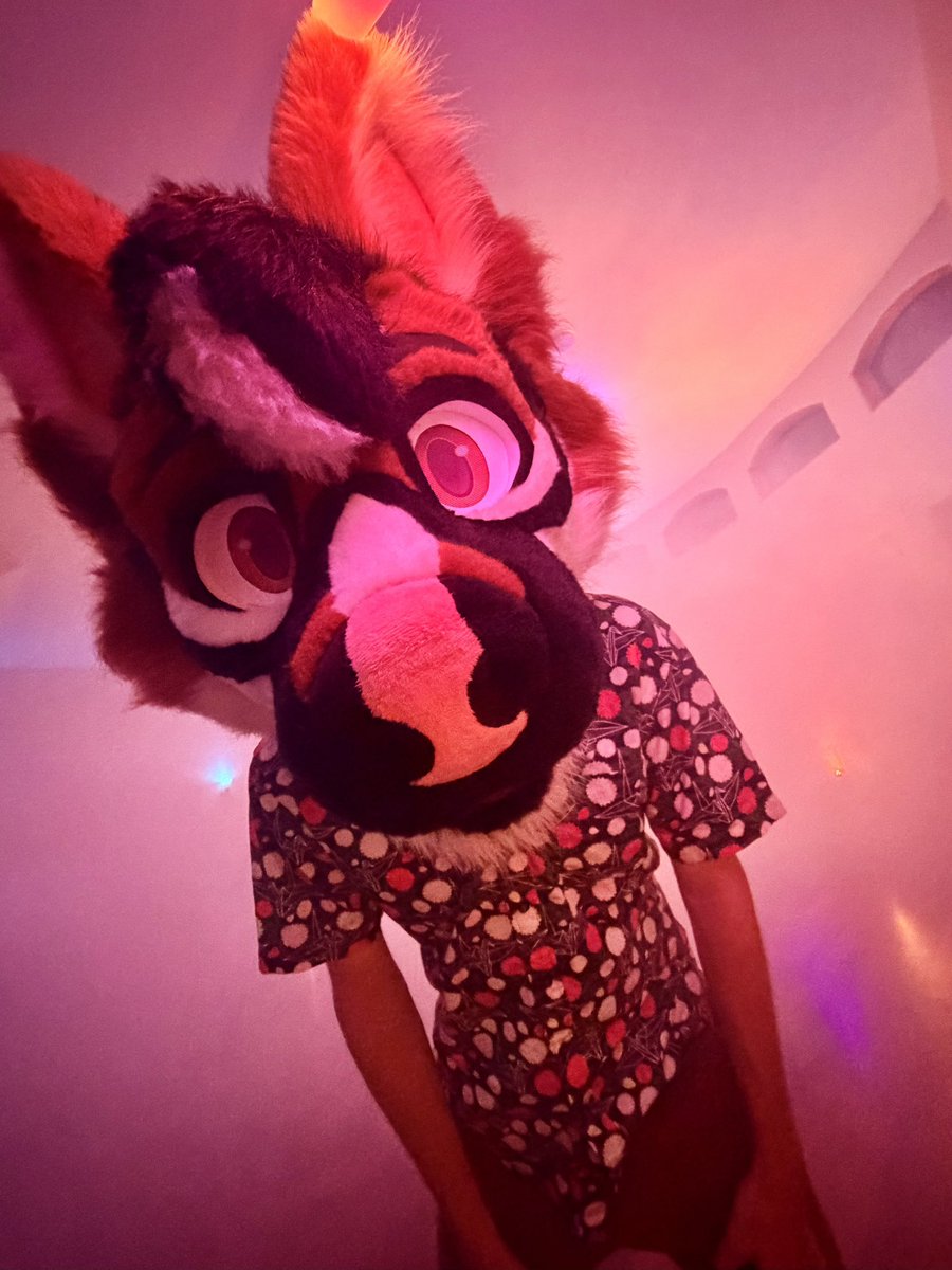 BotRuffz's tweet photo. Its #FursuitFriday time to get your game on 🥳 https://t.co/EOz7Js2IkV
