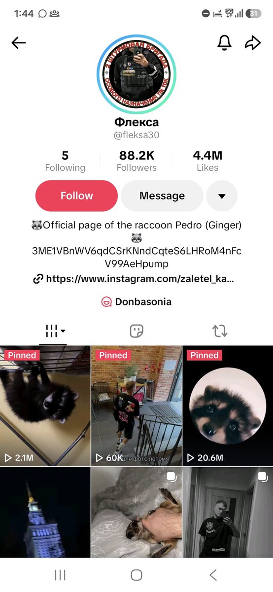 YourMistyy's tweet photo. Its just amazing that $Pedro owner is fully onboarded. CA is posted on the official tiktok page https://t.co/KRN0wt36ED
