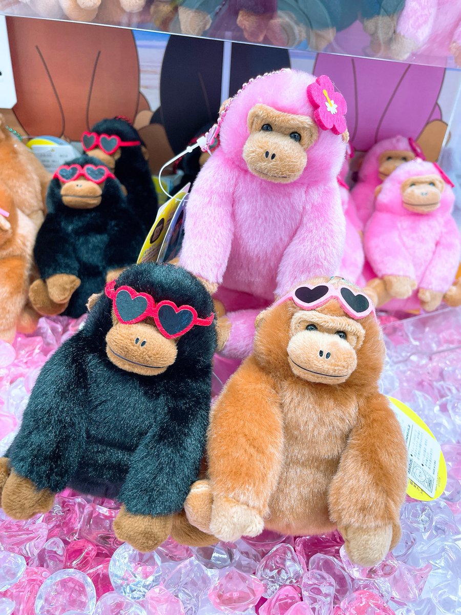 GiGO_Maya's tweet photo. 📣景品入荷情報

『 ウホウホゴリくん  常夏サマー  LMC  』

入荷しております！
ぜひGETしてくださいね🦍

みなさまのご来店お待ちしております🌻

#ゴリラ 
#GiGOフェニックスプラザ摩耶 https://t.co/zLUEBYy8Gv