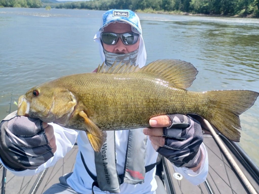 FishingShallow's tweet photo. Every cast on the Upper Potomac connects you to a long tradition of incredible smallmouth bass fishing. Experience the history, the scenery, and the thrill of one of the region's top fisheries with Shallow Water Fishing Adventures! #Smallmouth #CatchMoreFish #ShallowWaterFishing https://t.co/GiVF5AgZHJ