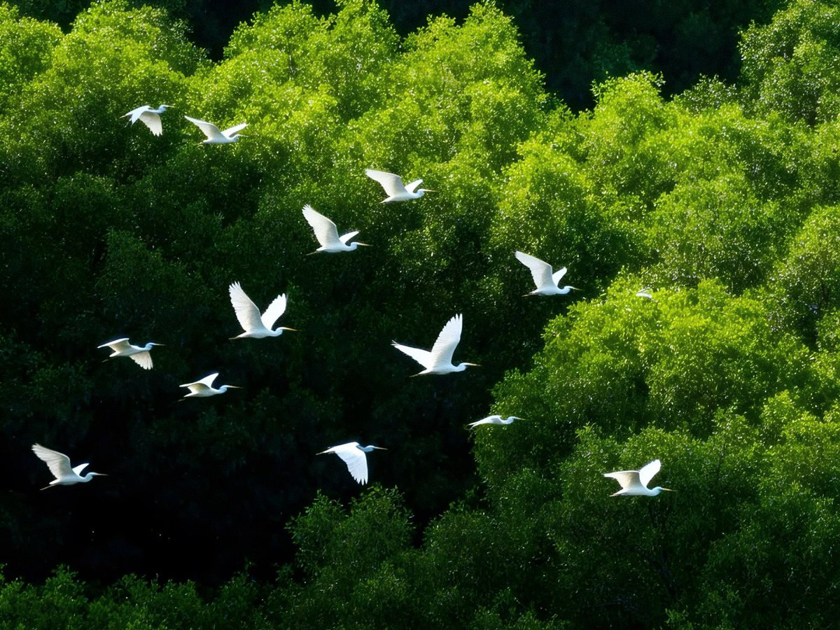 Pure_naturess's tweet photo. https://t.co/MQwhd8iA8V