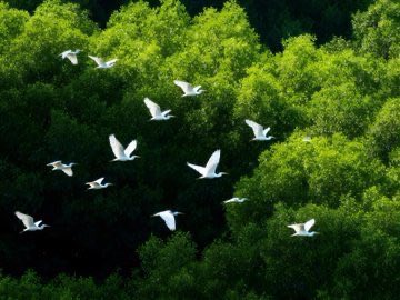 Pure_naturess's tweet photo. https://t.co/MQwhd8iA8V