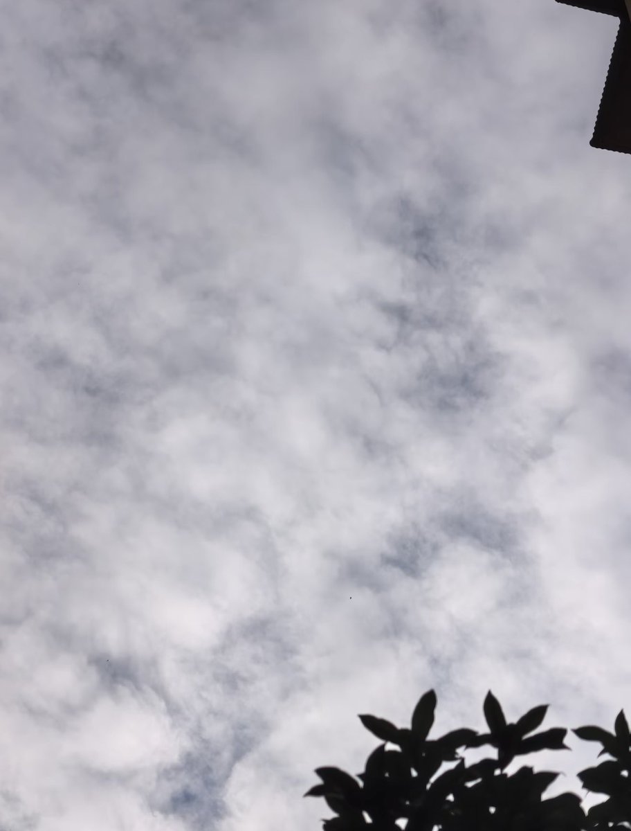 5143612h's tweet photo. 今日天空偷懒，把调色盘打翻成了灰白色。正好，我也不想太灿烂 https://t.co/Vpy0oPGQdm