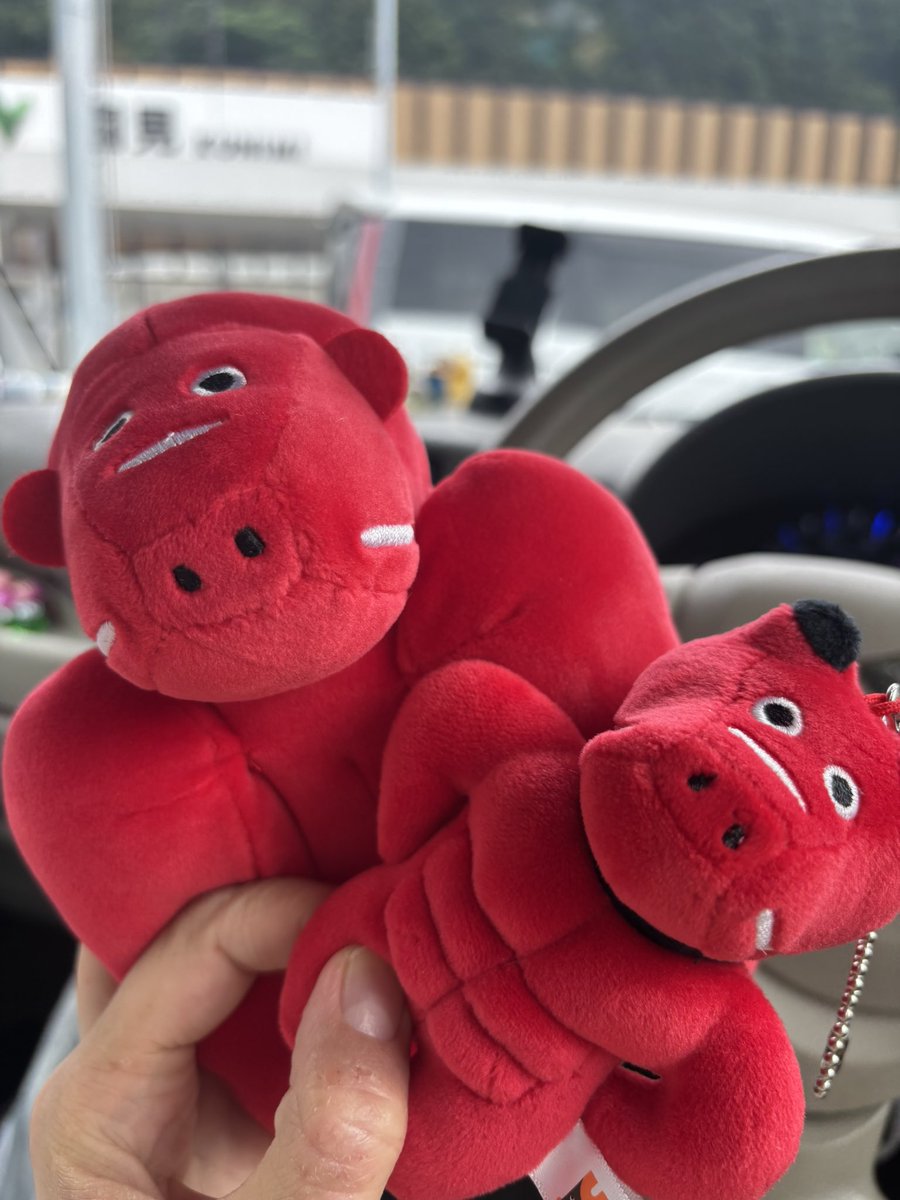 kudan272's tweet photo. 桃とポケモンスタンプラリーを求めて高速来てるんだけど、国見で最高にいい赤べこ（🦍、💪）を手に入れた https://t.co/BaPum3MGwr