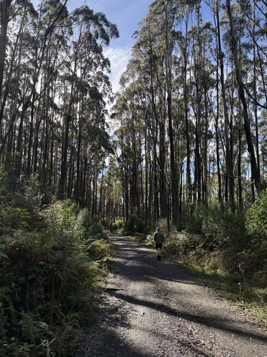 xqp49's tweet photo. surprises from Mt. Macedon https://t.co/yD9DptRm0B