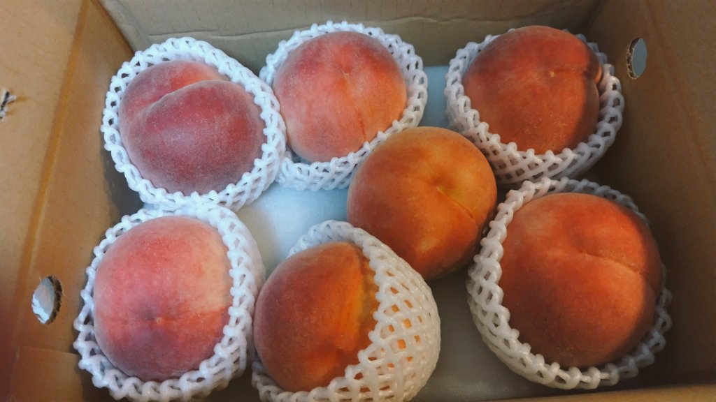 Post by 猫幸太郎on X: 桃🍑来た桃🍑