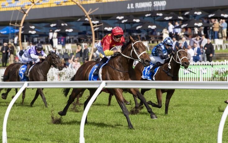 China Horse Club tweet media