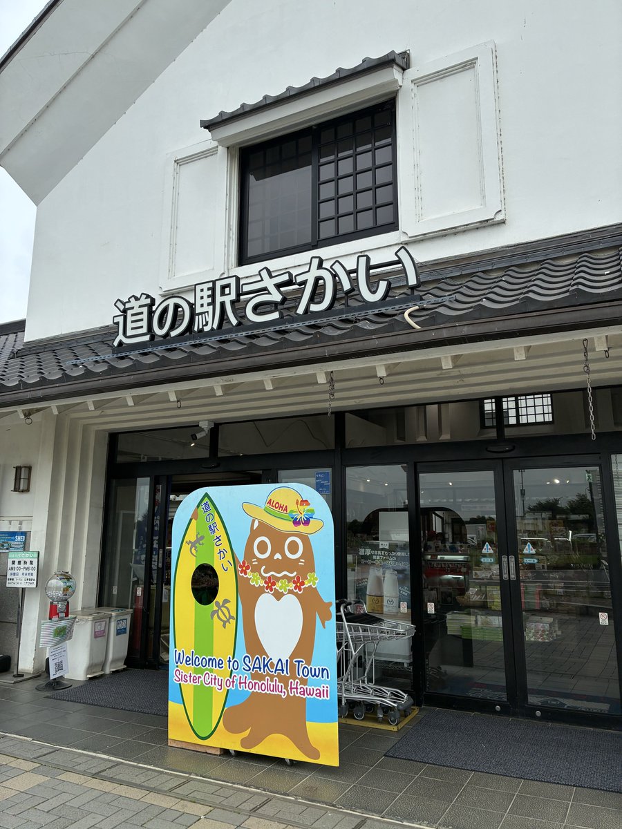 ZELKOVA_CLUB's tweet photo. こちらは『ひんやりお芋のシェイク』

お芋の風味も濃く、甘〜いホイップとバニラアイスが口の中をひんやり楽しくしてくれます！
「道の駅さかい」さんで食べられるスイーツです！

#茨城県 #境町 #道の駅 https://t.co/dplgP1125Z