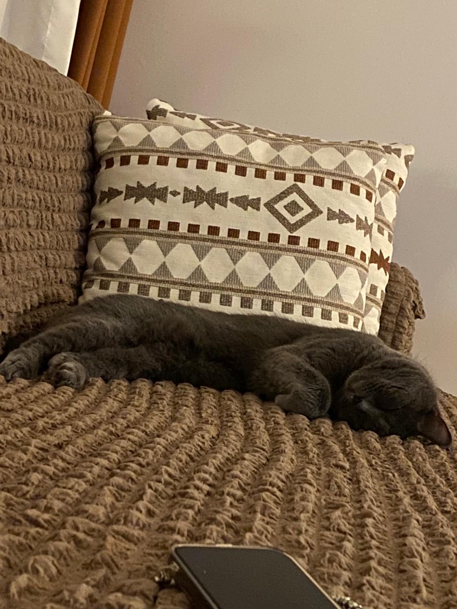 snefisee's tweet photo. Bu güzel kızın yarın son günüdür😔 https://t.co/j8IJq5ZH1G