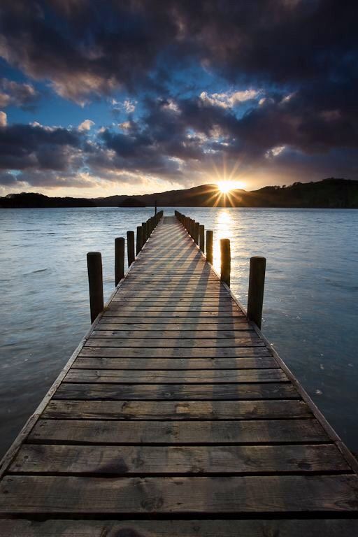 naturepicsc's tweet photo. https://t.co/vdpTPTrbWH