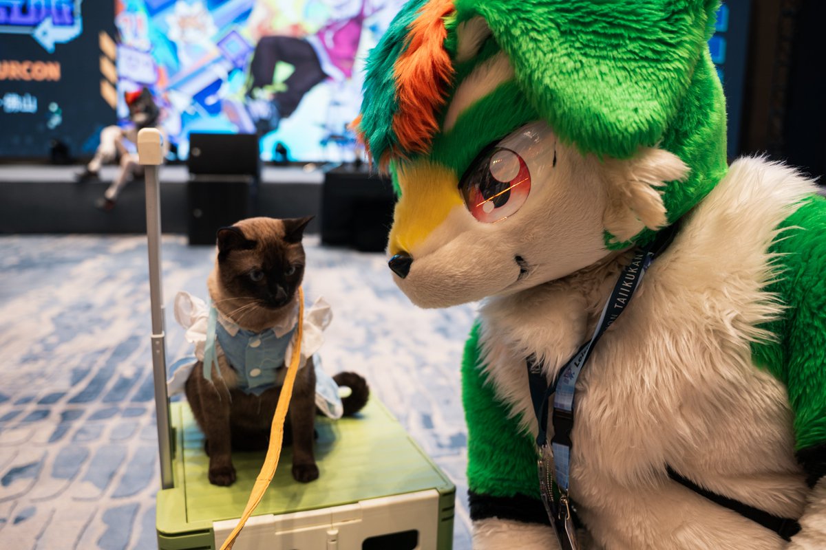 olive_kemono's tweet photo. 📸 https://t.co/QlaApeNj4z