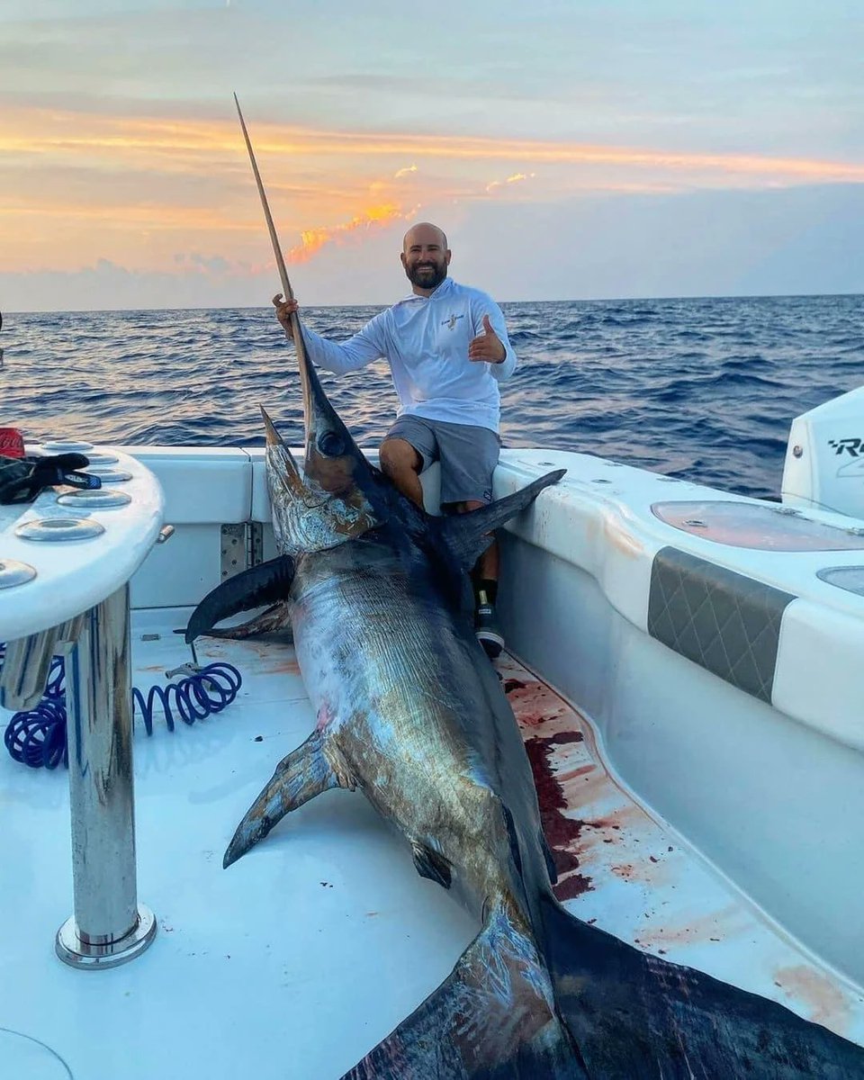 Saye_33's tweet photo. @Pediavenir Et les germanismes ?

Marlin leben                               /                               Toter Marlin https://t.co/BPUZoUEHq3