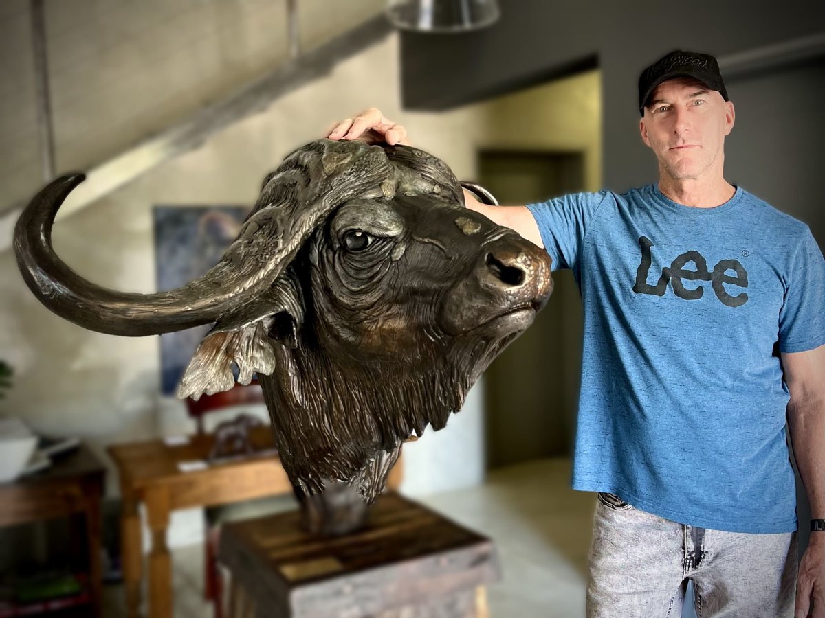 BrandonBronze's tweet photo. Forged in fire. Inspired by the wild.
A life-size bronze Cape Buffalo bust that commands attention from every angle.

Cape Buffalo Bust (Life-size)

Dimensions: 70H x 106W x 70L cm
Material: Bronze
Weight: 80kg

#BronzeSculpture #CapeBuffalo #WildlifeArt #AfricanWildlife #FineArt https://t.co/IlQnYFtonn