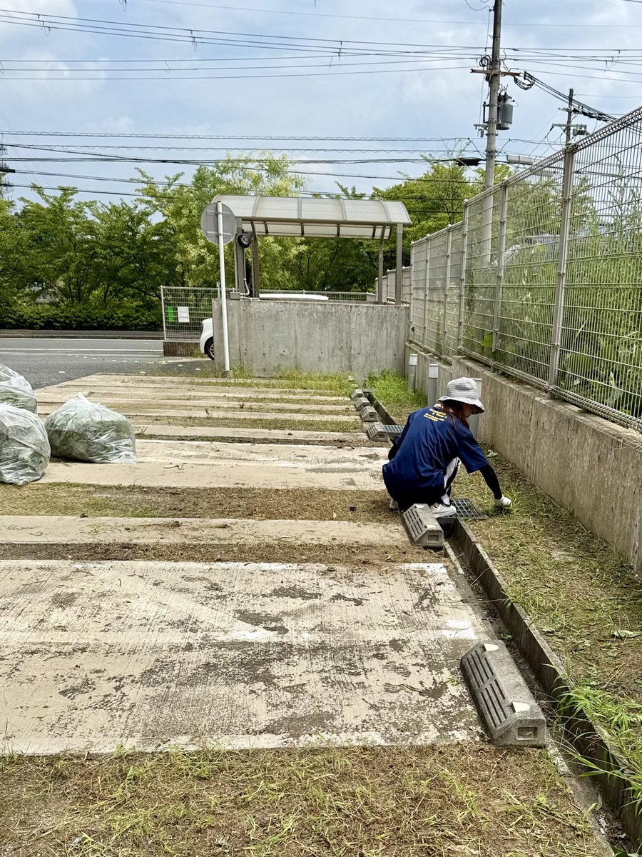 kuushinelm's tweet photo. 敷地内に葛（くず）が伸びて見苦しいのを事務所の女性陣が急きょ撤去作業を行いました。
来客数駐車場の雑草も手作業で除去。
暑い中ありがとうございます。
でも雑草ってまたすぐ茂るんですよね(T_T)
#高齢者複合福祉施設　#グループホーム   #特養   #介護   #除草 https://t.co/ZOTWqHrawr