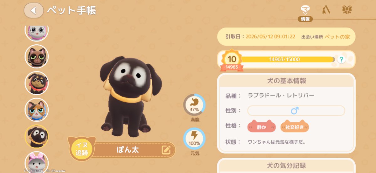 pepyopa's tweet photo. 悩んで犬は全部垂れ耳にしてしまった…

立ち耳すごい悩んだんだけど…！！！！！

ラブ、バニ、ロット https://t.co/No1QUCJ1Xc
