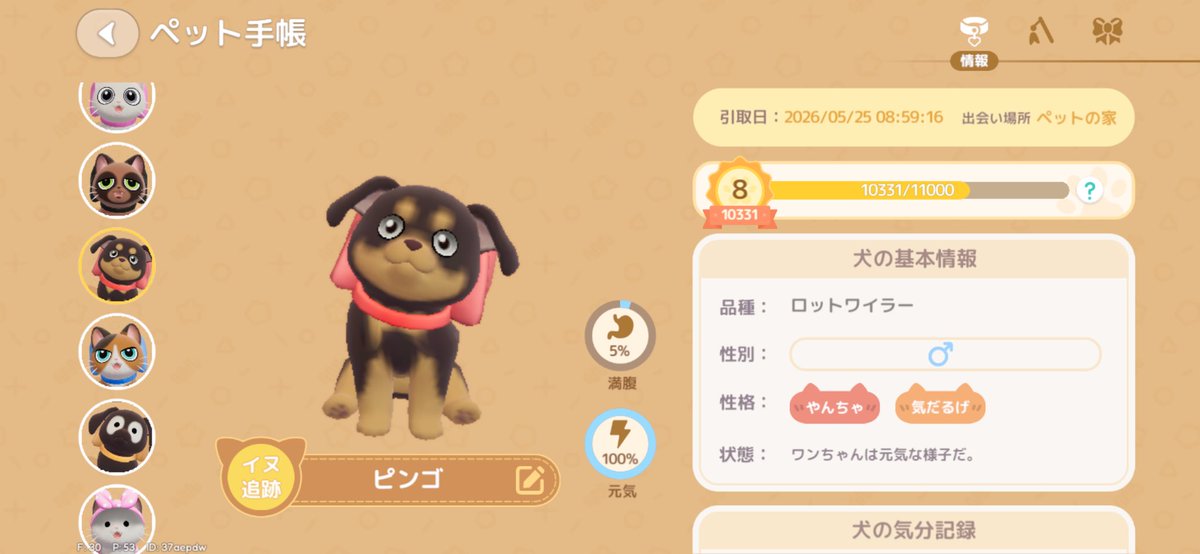 pepyopa's tweet photo. 悩んで犬は全部垂れ耳にしてしまった…

立ち耳すごい悩んだんだけど…！！！！！

ラブ、バニ、ロット https://t.co/No1QUCJ1Xc