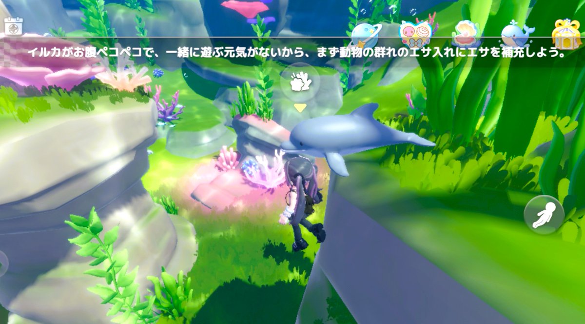 TaroRgames's tweet photo. 🐬可愛いぃぃ♡
餌場はいっぱいでもう補充できないのに要補充メッセージが出て触れ合えないー🥺🐬

ピンク🐬がしきりに餌場にしがみついてご飯は～？て怒ってる感じ出してて可愛かたwww

訂正されるかなぁ

#ハートピア
#ハートピアスローライフ https://t.co/djdUbetPJ3