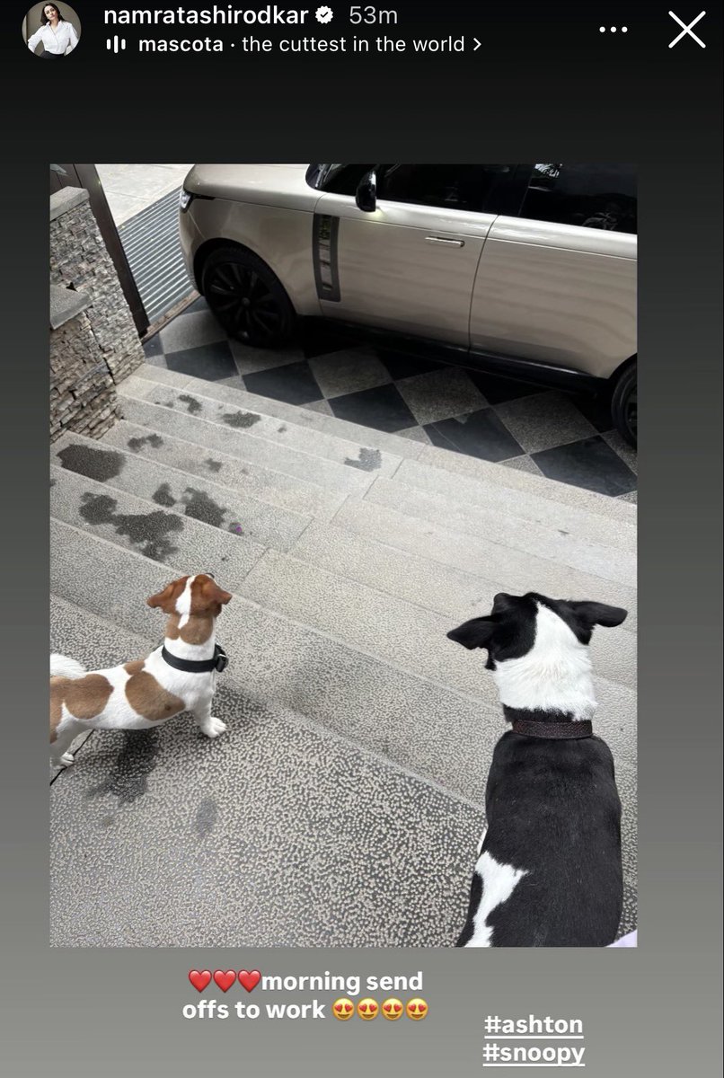 _VardhanDHFM_'s tweet photo. morning send offs to work from lovely pets ❤️

#MaheshBabu | #Varanasi 
My Hero @urstrulymahesh 👑 https://t.co/l7ESQ563f6